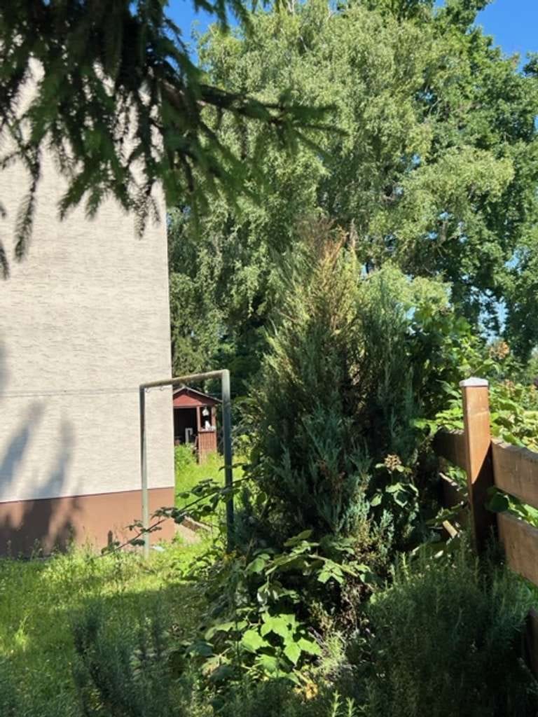 Immobilie in Edingen-Neckarhausen - Sichern Sie sich Ihre Rente!  Ideales 4-Familienhaus in guter Wohnlage - Bild 4