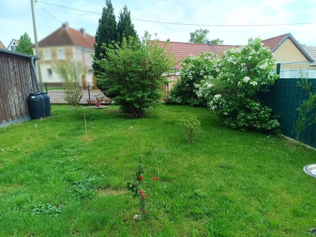Immobilie in Osternienburger Land - Saniertes Einfamilienhaus in ruhiger Wohnlage - Bild 1
