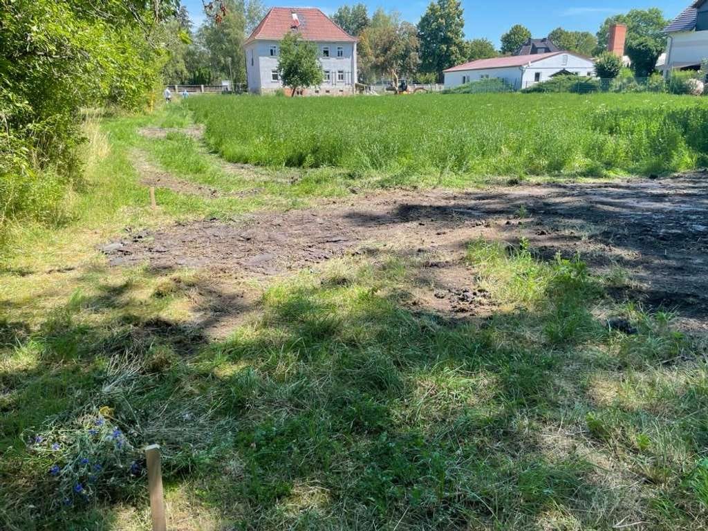 Immobilie in Großrudestedt - Das Einfamilienhaus mit dem schönen Satteldach in Großrudestedt - Freundlich und gemütlich - Bild 2