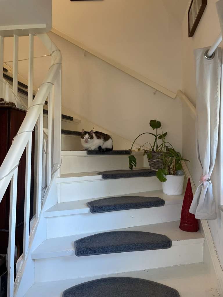 Immobilie in Klein Rönnau - Gepflegtes Einfamilienhaus in Klein Rönnau - Bild 3