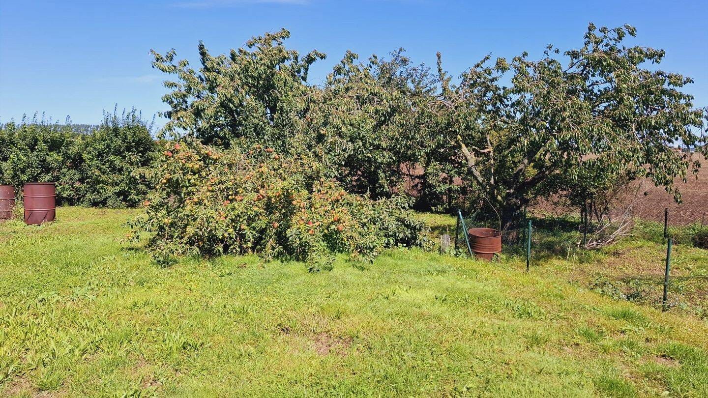 Immobilie in Kühlungsborn - Doppelhaushälfte in Ostseenähe / Sanierung notwendig - Bild 4
