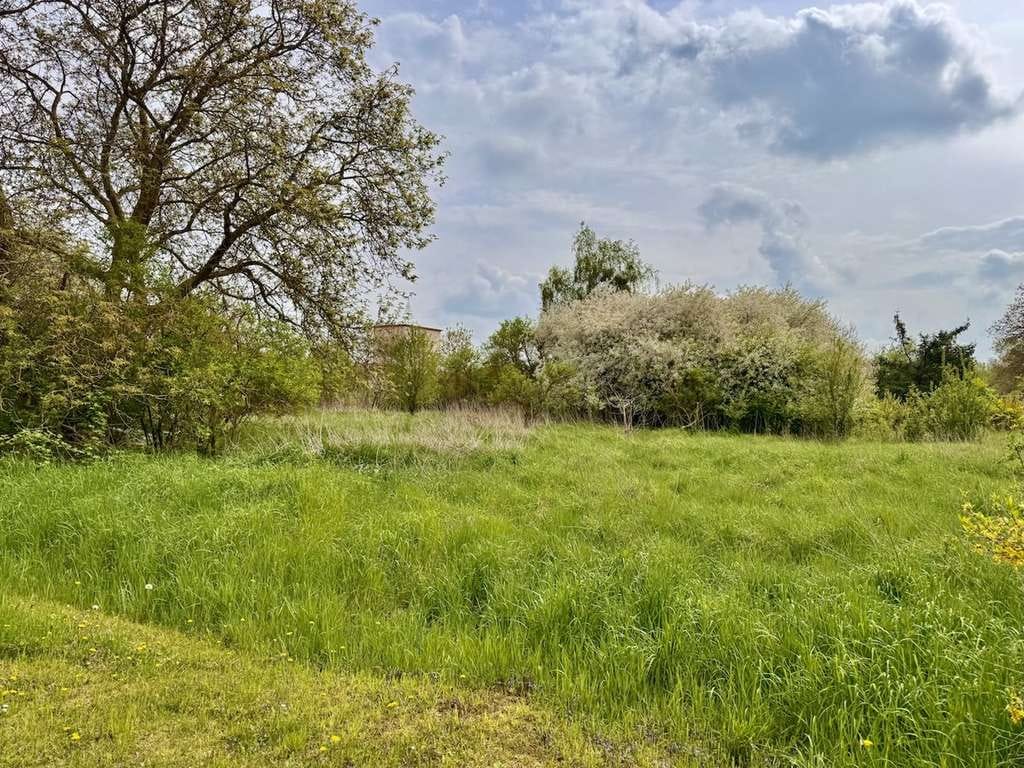 Immobilie in Penkun - HORN IMMOBILIEN++ Dreifamilienhaus in Penkun mit großem Grundstück - Bild 4