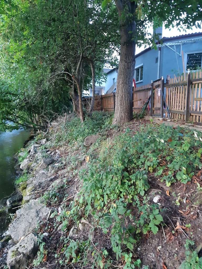 Immobilie in Wolpertswende - * Das Haus am Fluss * Traumhafte Lage * Wohnen und Arbeiten * - Bild 3