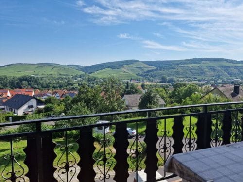 Immobilie in Erlabrunn - 2-Familienhaus + ELW mit malerischem Ausblick in 97250 Erlabrunn / Würzburg (ID 10466) - Bild 3