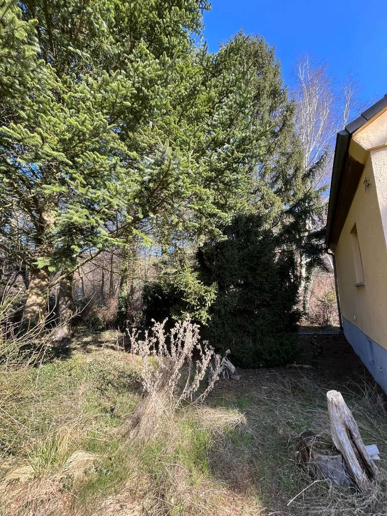 Immobilie in Hoppegarten - Einfamilienhaus mit großem Keller in S-Bahn Nähe mit viel Potenzial - Bild 2