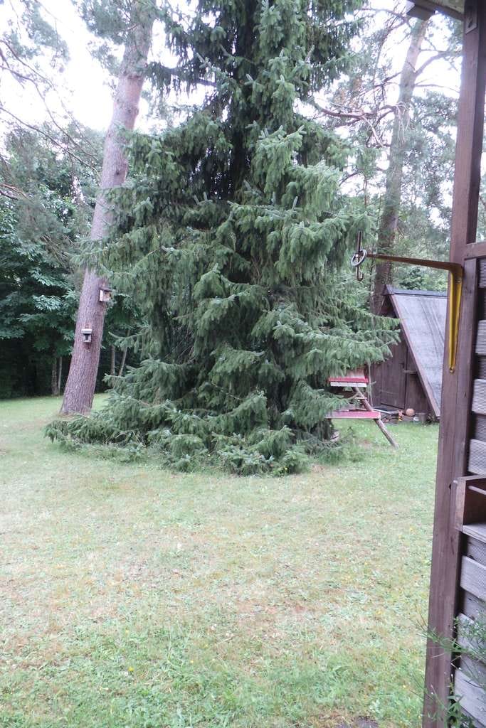 Immobilie in Trippstadt - Attraktive Eigentumswohnung im Untergeschoss eines 4-Familienhauses in ruhiger Lage - Bild 4