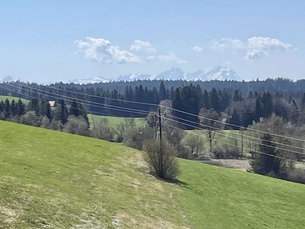 Immobilie in Oberreute - Helle Dachgeschosswohnung in ruhiger zentraler Lage mit Fern- und Bergblick Richtung Säntis Massiv - Bild 0