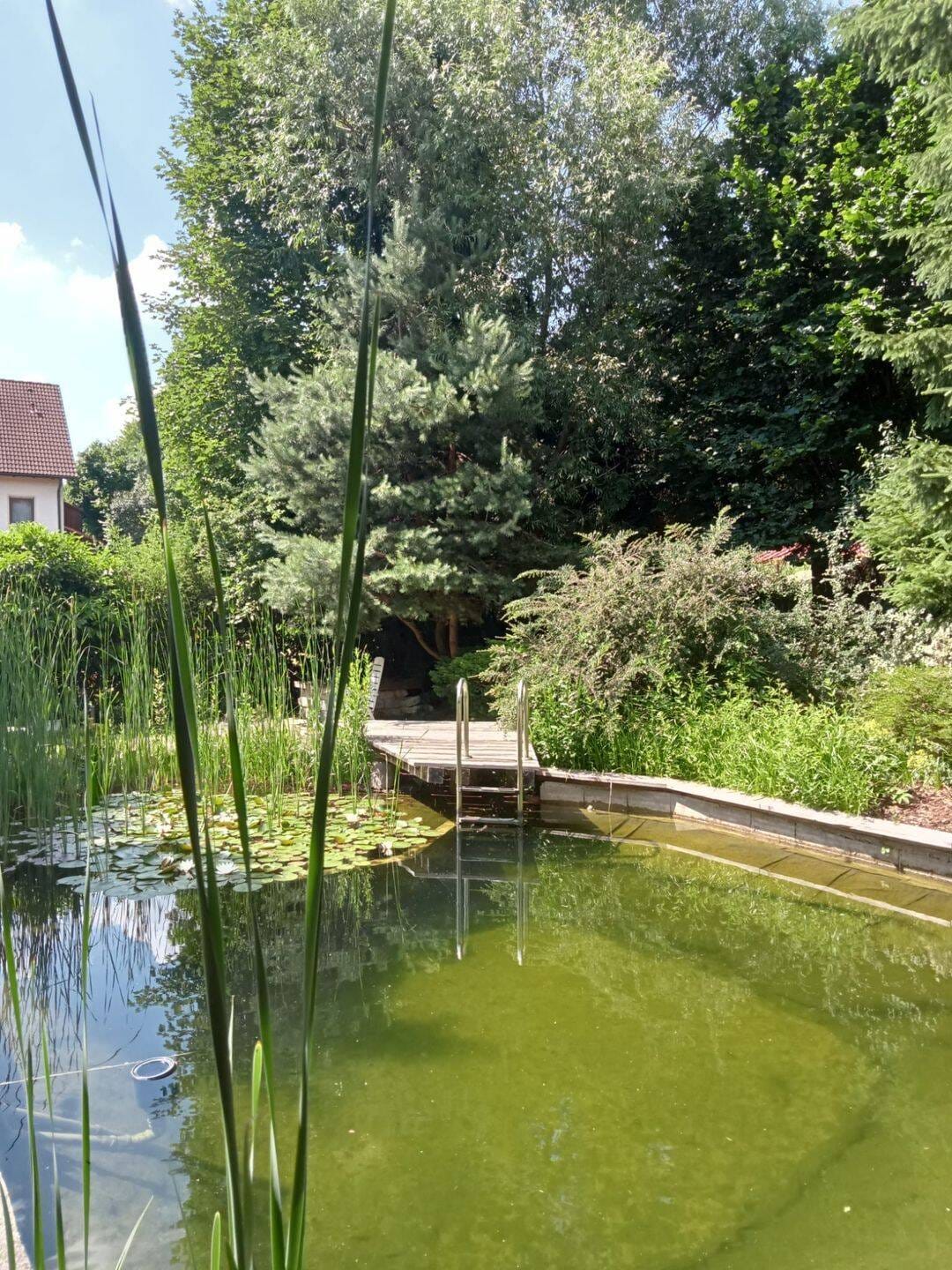 Immobilie in Absberg - Traumhaus mit Schwimmteich und viel Platz - Bild 3