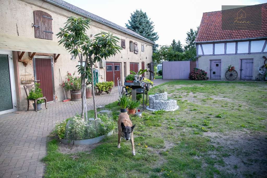 Immobilie in Niederer Fläming - Traumhaftes Anwesen mit Bauernhaus, Scheune und weitläufigem Grundstück - Bild 3