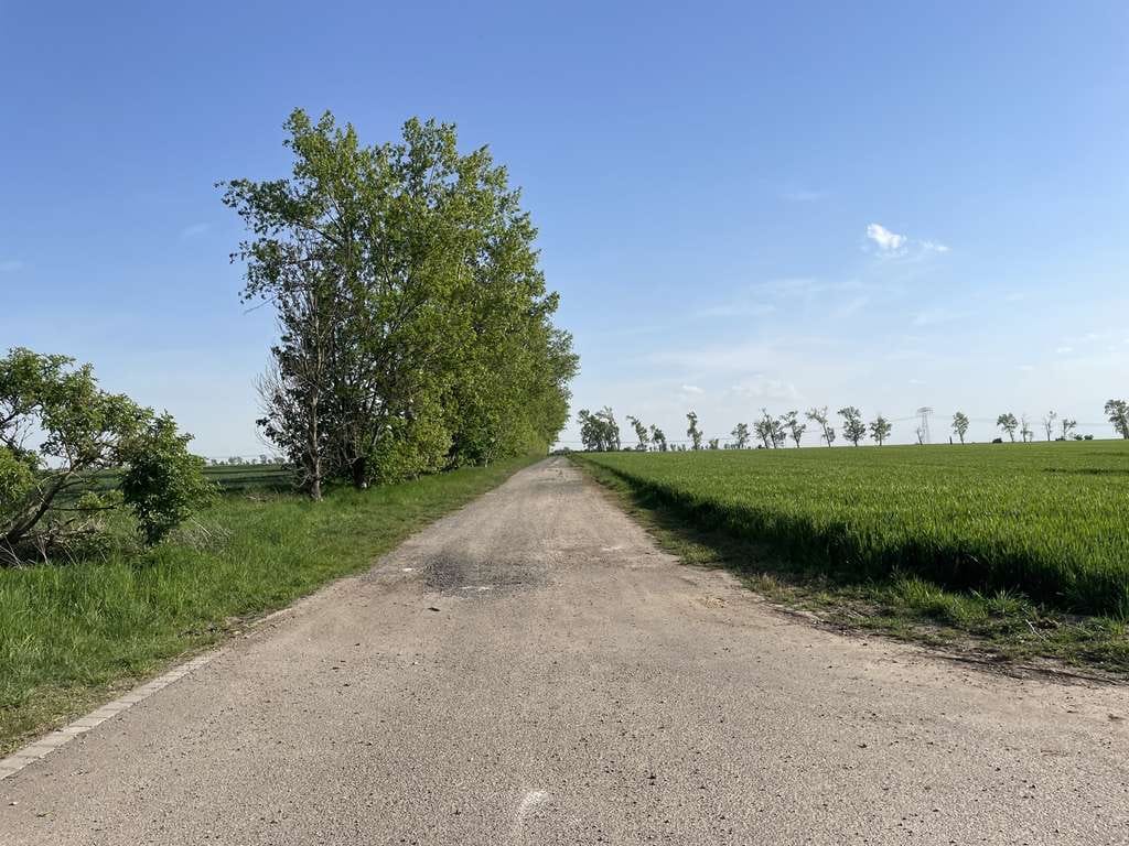 Immobilie in Lützen - Im Jahr 2018 erbautes Einfamilienhaus - 5 Zimmer - 1000 m² Grundstück für Ihre Familie - Bild 1