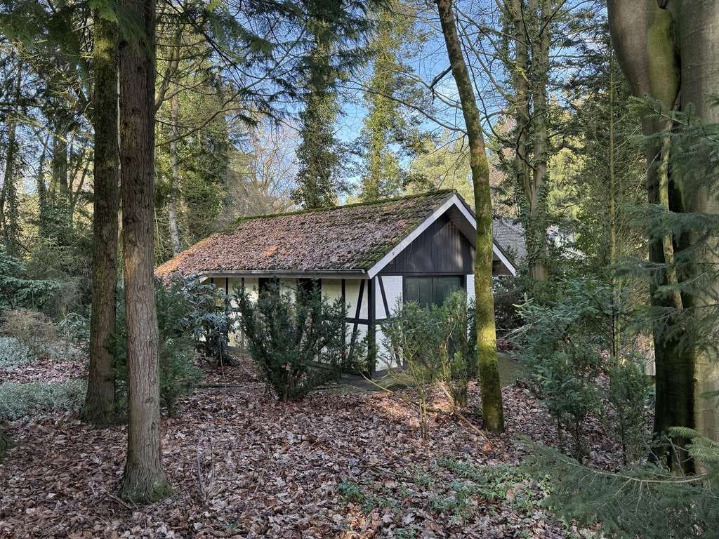 Immobilie in Kirchseelte - Toller Bungalow auf großem Grundstück, Garage - Bild 4