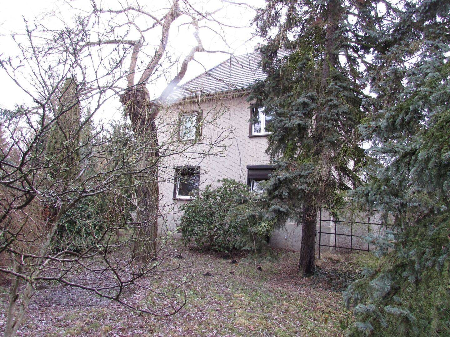 Immobilie in Schwarzheide - geräumiges Wohnhaus mit NG, 3 Gargen & Grundstück in guter Lage von Schwarzheide - Bild 2