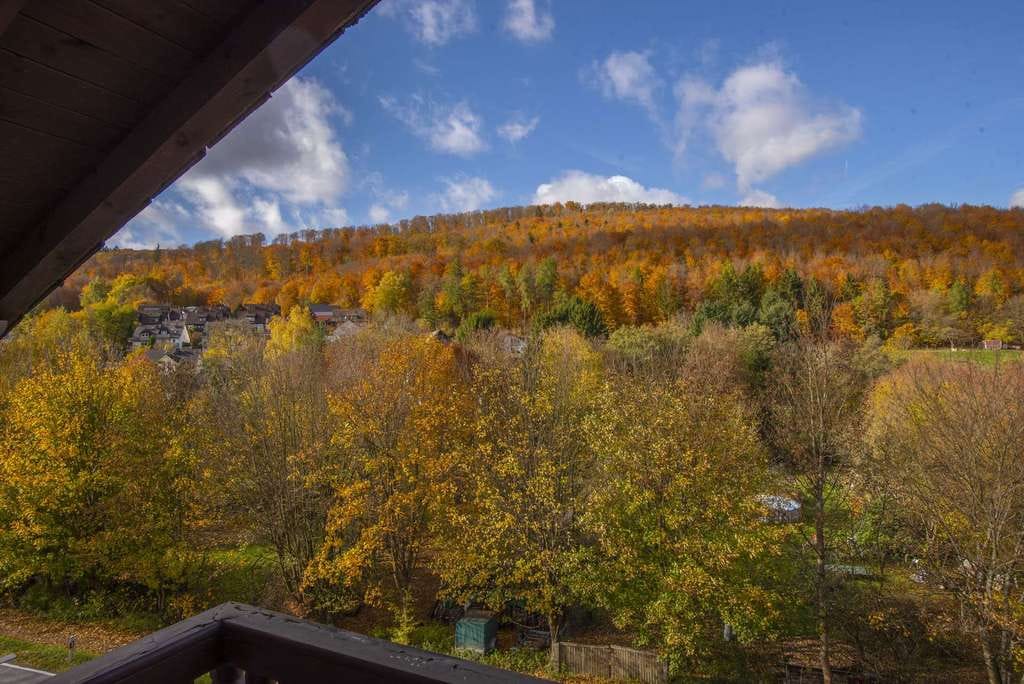 Immobilie in Schmitten - Großes EFH mit vielen Freisitzen und grandioser Aussicht. Käuferprovisionsfrei! - Bild 2