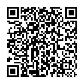 Immobilie in Weisendorf - ++ 5 ZIMMER WOHNUNG  ++ GUTE LAGE ++ DOPPELGARAGE ++ 2 STELLPLÄTZE UND GARTEN INKLUSIVE! ++ - Bild 3