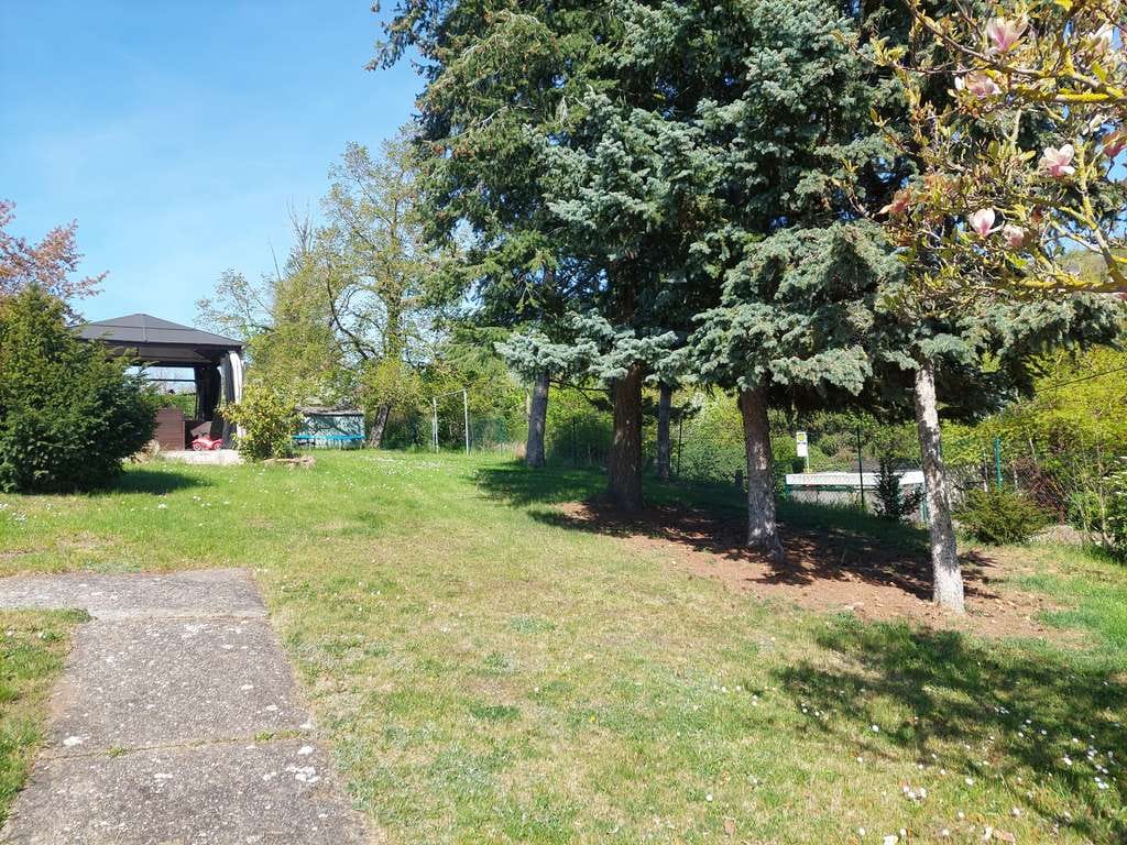 Immobilie in Wettin-Löbejün - Einfamilienhaus mit ganz großem Garten in Wettin - Bild 4
