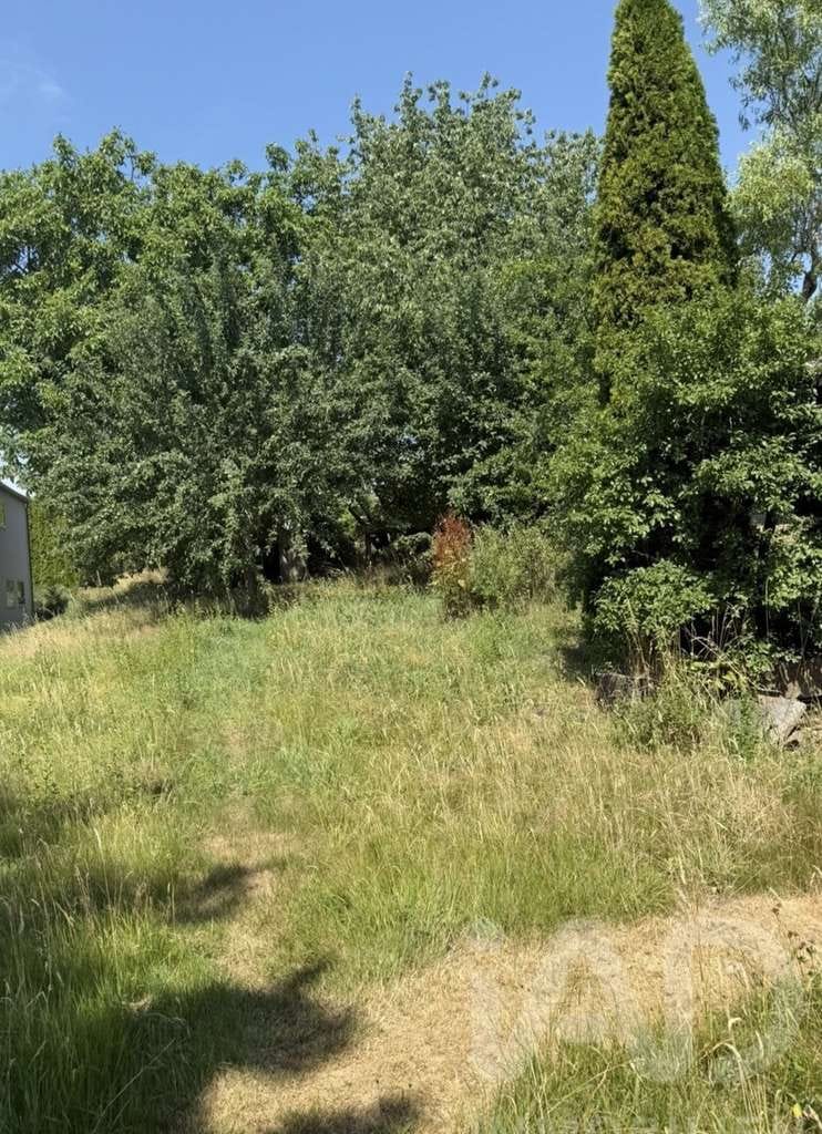 Immobilie in Mudau - Wohnen neu gedacht - Flexibles Immobilienkonzept auf großzügigem Grundstück - Bild 2
