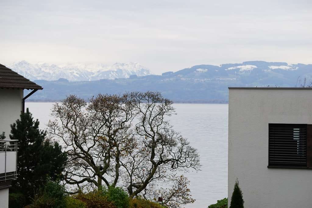 Immobilie in Wasserburg (Bodensee) - Traumwohnung am Bodensee - 30 Schritte zum Wasser  - Bild 0