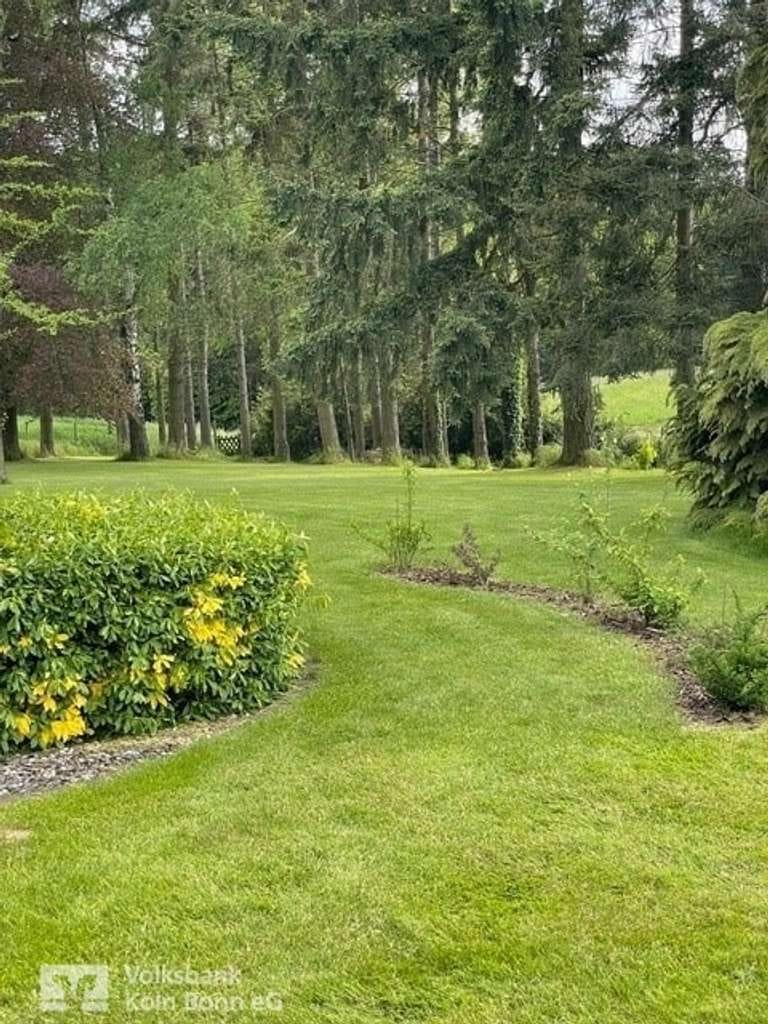 Immobilie in Asbach - Asbach - Traumhaus mit viel Platz und idyllischem Grundstück - Bild 1
