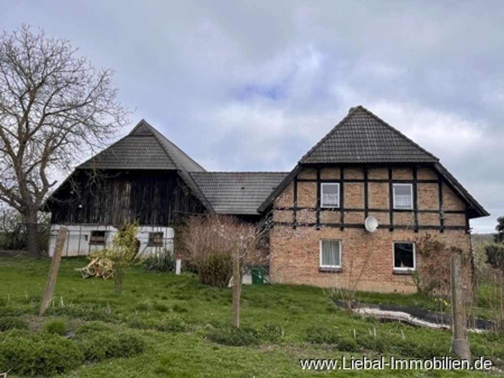 Immobilie in Penzlin - Charmantes Fachwerk-Bauernhaus in idyllischer Alleinlage - Bild 0