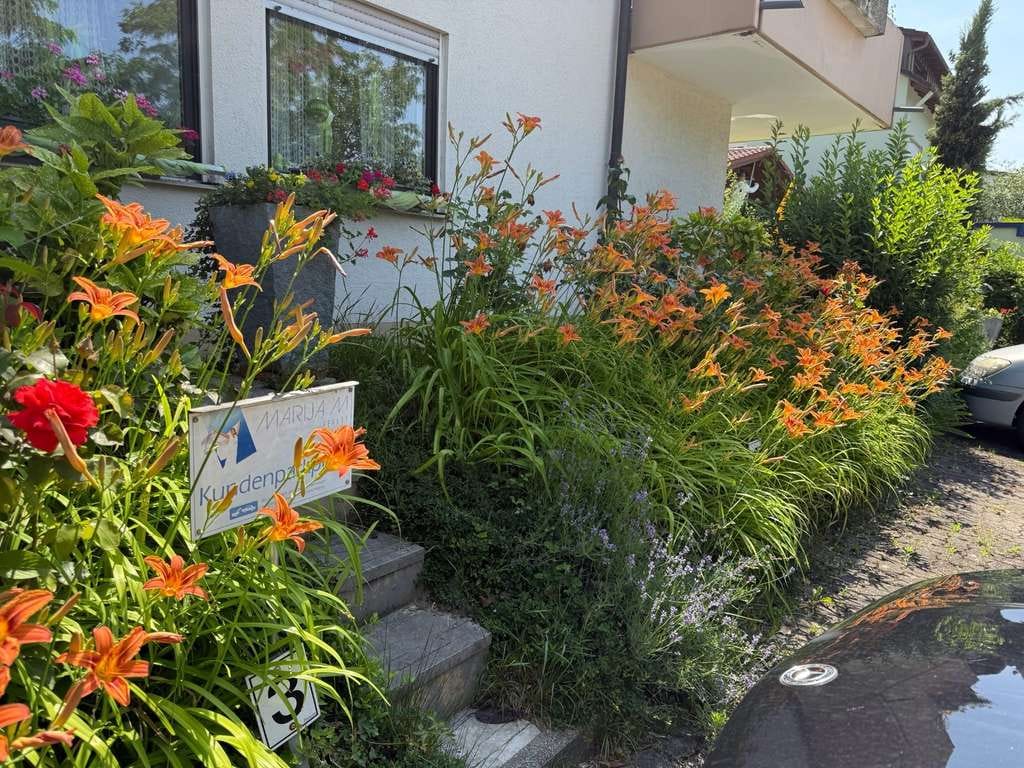 Immobilie in Bad Bellingen - Derzeit anders genutzt - künftig Ihr Zuhause mit viel Potenzial - Bild 1