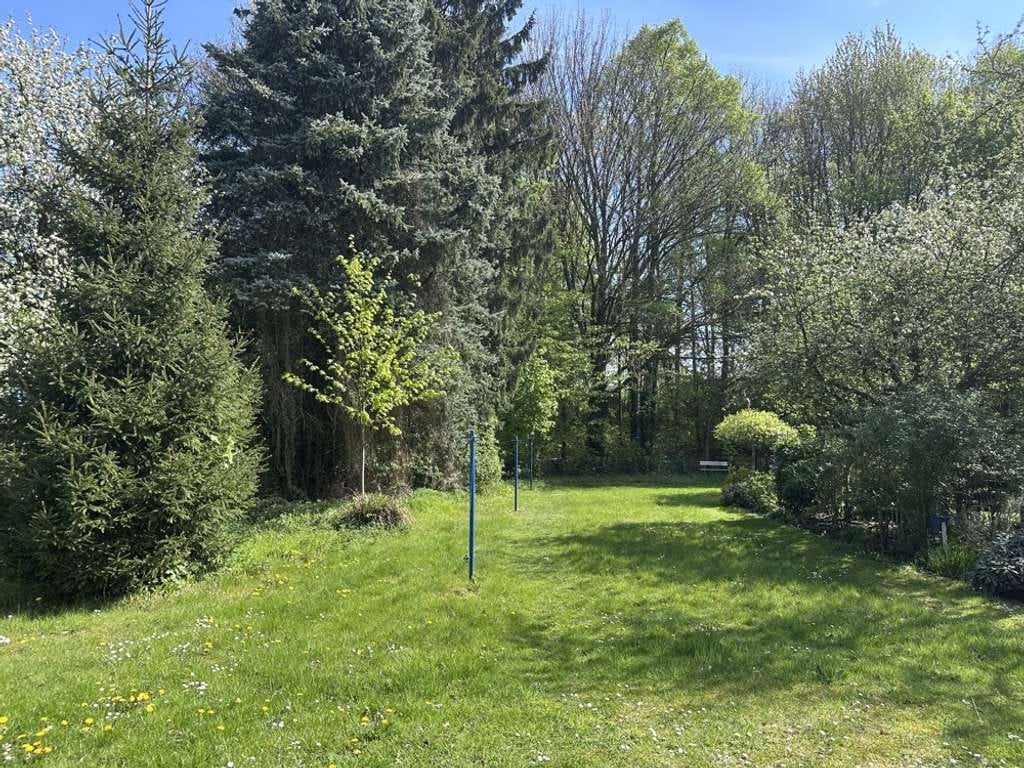 Immobilie in Gelsenkirchen - Solides Mehrfamilienhaus mit großem Grundstück im Grünzug von Gelsenkirchen-Buer - Bild 4