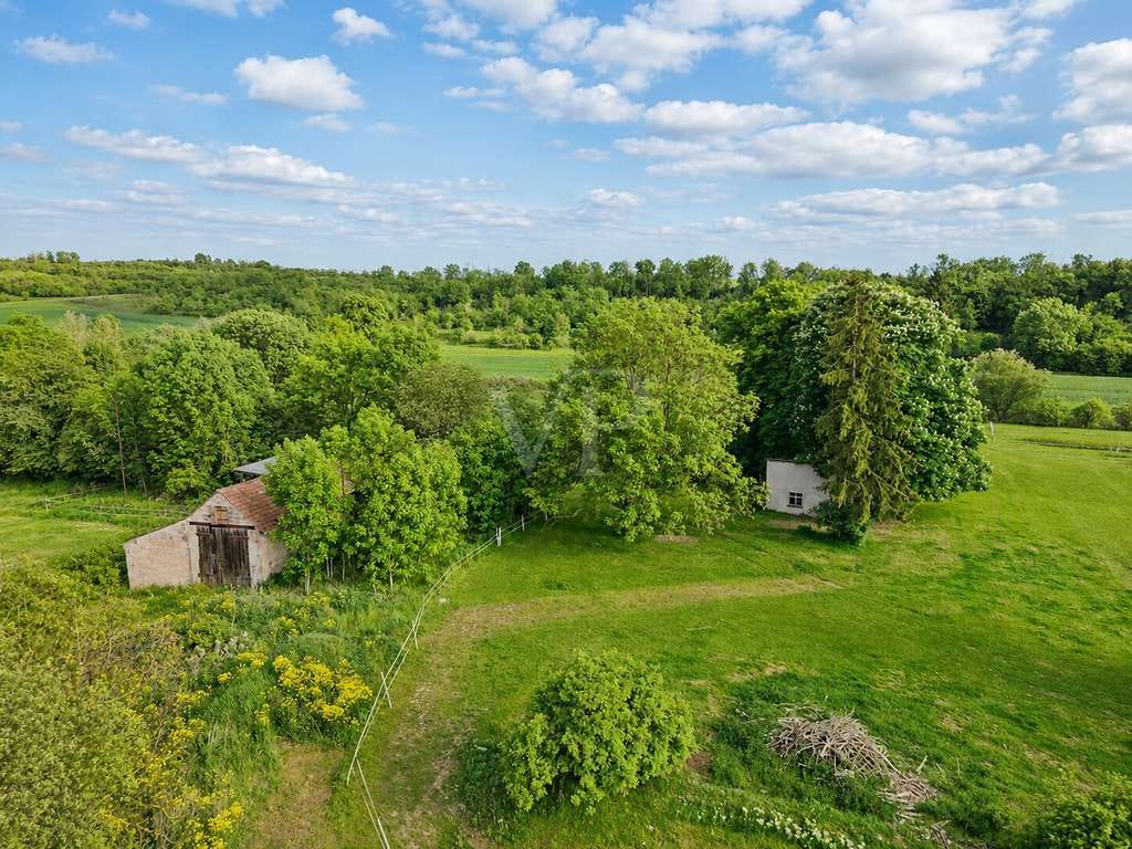 Immobilie in Kindelbrück - Historische Gutsanlage mit Wohnkomfort, Ausbaureserve und weitläufigem Grundstück - Bild 4