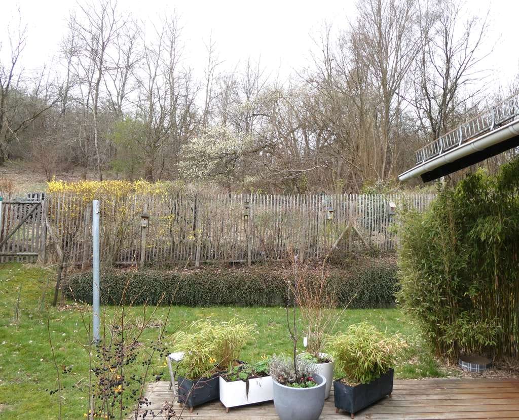 Immobilie in Wilnsdorf - Über den Dächern von Dielfen - Bild 3