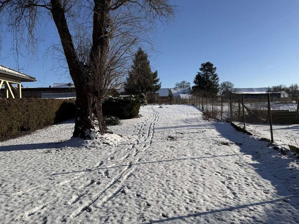 Immobilie in Briesen (Mark) - Zum Großteil leerstehendes MFH 4-6 WE mit viel Potenzial - Bild 1