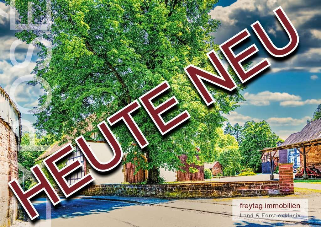 Immobilie in Lüerdissen - Weserbergland: Herrlicher Landsitz wie aus dem Bilderbuch - Bild 0