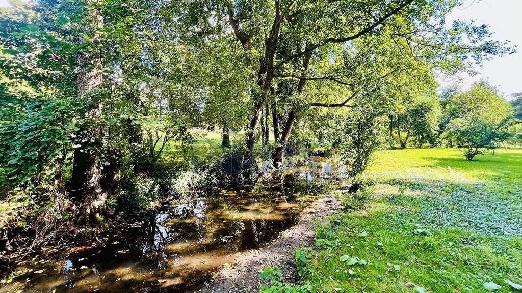 Immobilie in Rheinsberg - 🚤 Unglaubliches Seegrundstück mit Baugenehmigung für 2 EFH | ✅ Bootssteg | ✅ Baugrundstück - Bild 4