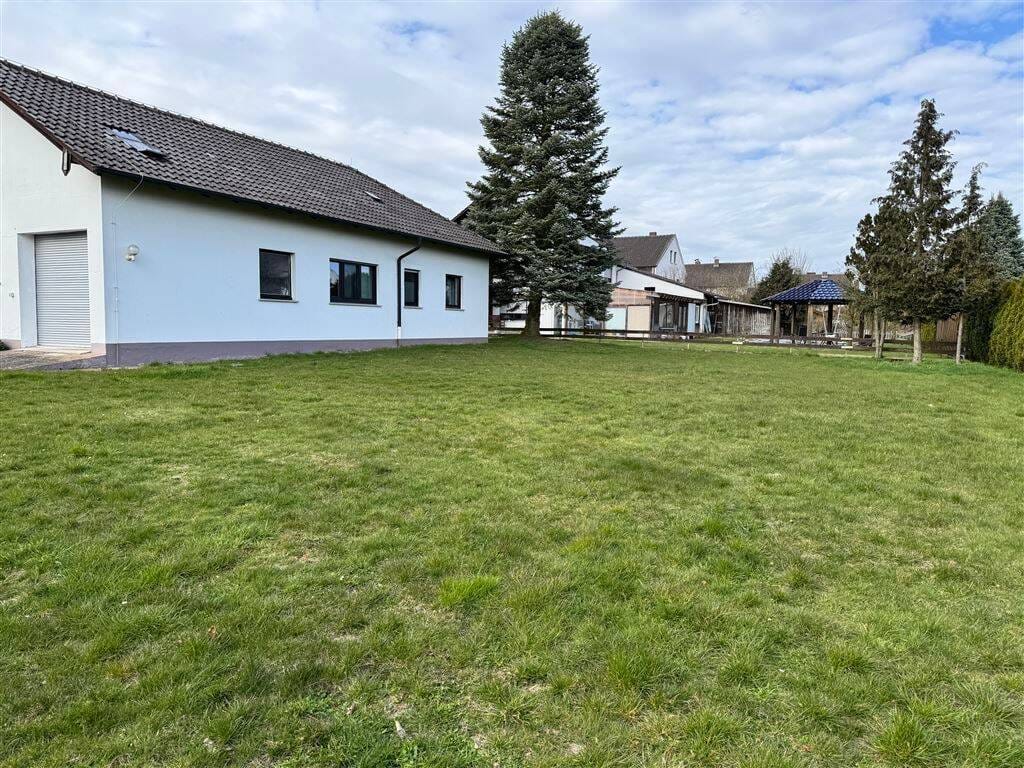 Immobilie in Borgentreich - Borgentreich - Wohnen auf einer Ebene - Charmantes Einfamilienhaus - ab sofort verfügbar - Bild 1