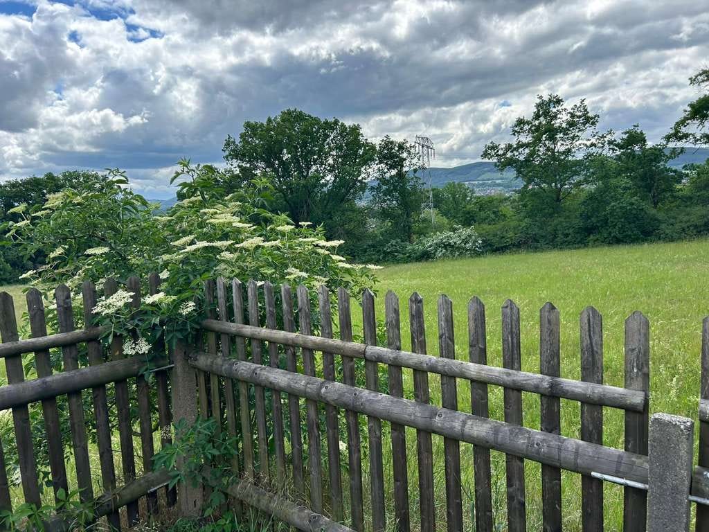 Immobilie in Saalfeld/Saale - Doppelhaushälfte am Waldesrand - Bild 1