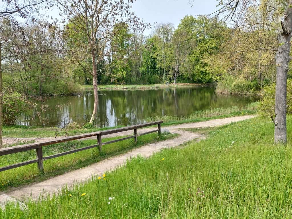 Immobilie in Braunsbedra - Gemütliches Häuschen mit großem Garten in 06242 Braunsbedra - Bild 4
