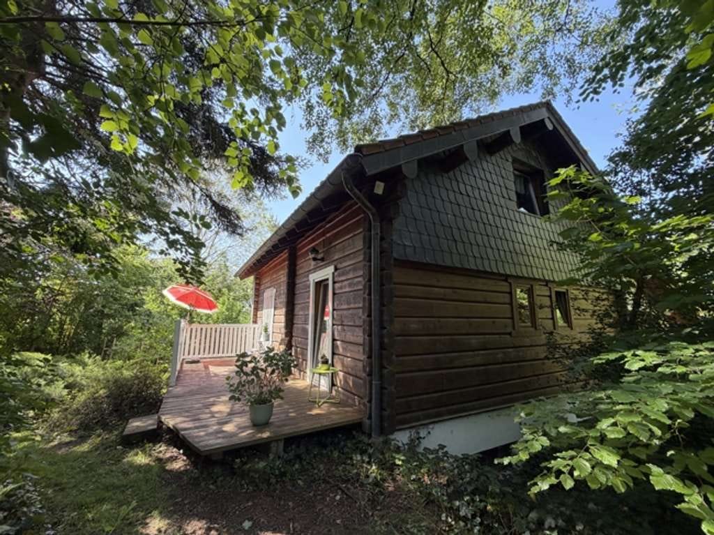 Immobilie in Olzheim - Pferdeliebhaber aufgepasst! Idyllisches Anwesen mit Holzblockhaus, Stallungen, Paddock & Weideland - Bild 4
