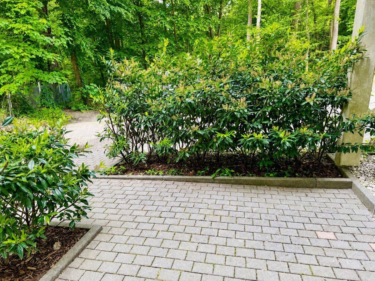Immobilie in Friedrichsdorf - Moderne Erdgeschoss-Eigentumswohnung mit Einbauküche - Bild 2