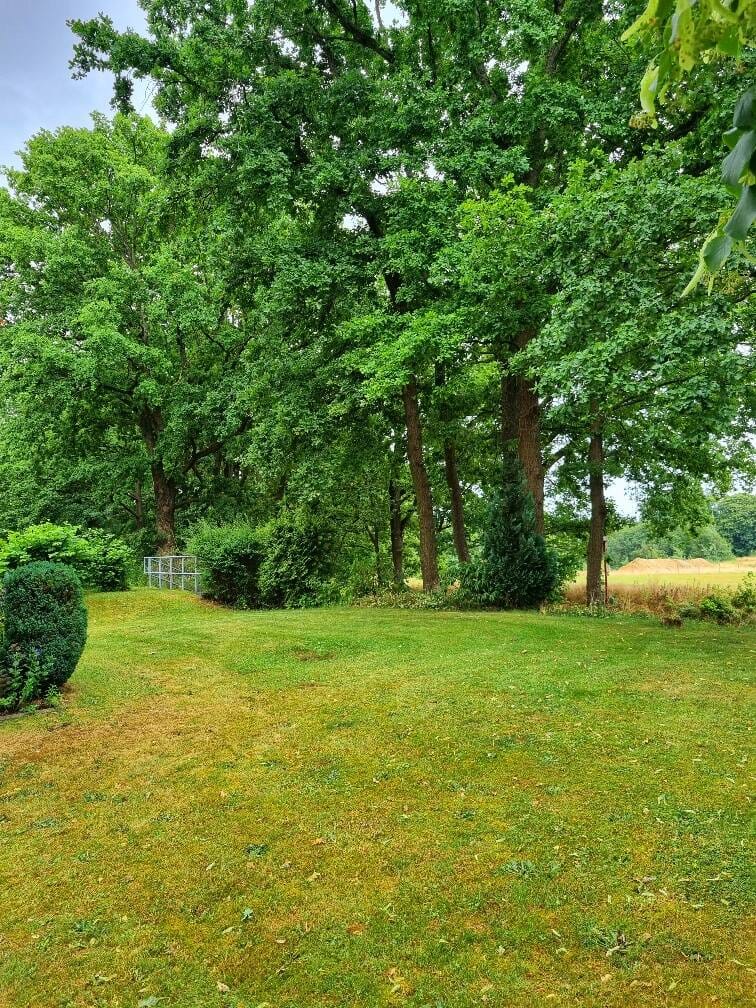 Immobilie in Bischofswerda - Frei werdende ETW mit Balkon und Blick ins Grüne! - Bild 4