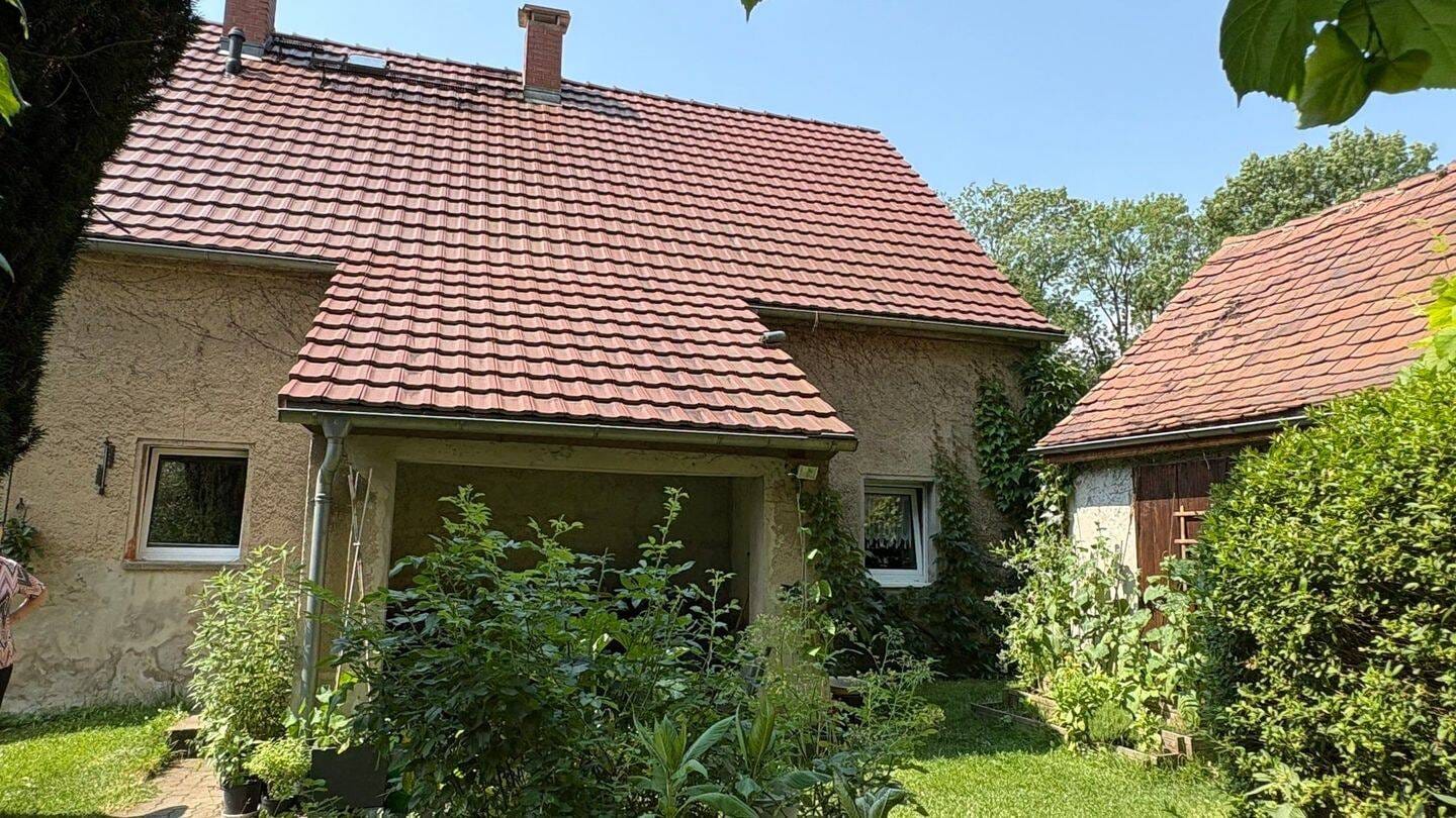 Immobilie in Zittau - Gemütlich, geräumig, dörflich! - Bild 4