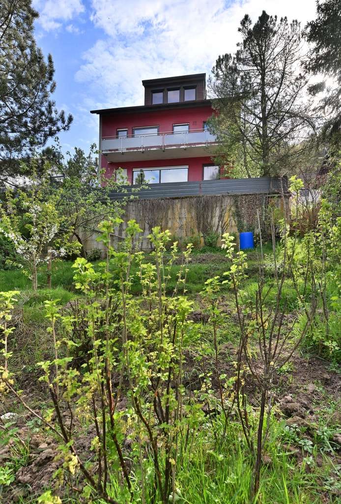 Immobilie in Frankeneck - Wohnen, wo andere Urlaub machen – Panoramaausblick inklusive! Freistehendes Haus mit viel Platz! - Bild 1