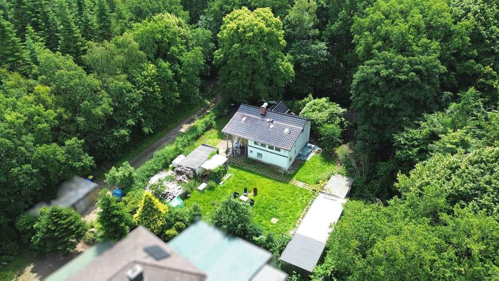 Immobilie in Weddingstedt - Natur, Ruhe & Gestaltungsspielraum – Teilsaniertes Waldhaus in einzigartiger Lage bei Weddingstedt - Bild 2