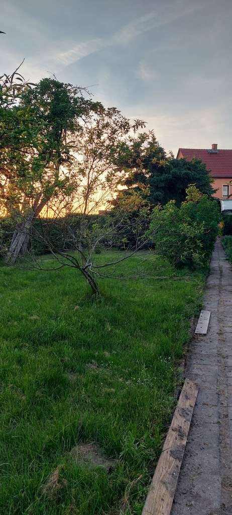 Immobilie in Grimma - Doppelhaushälfte mit großem Grundtück und Garten - Bild 4