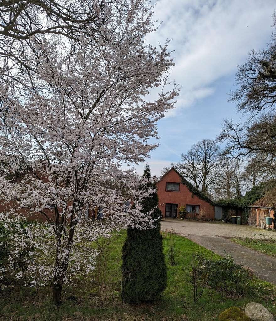 Immobilie in Hude (Oldenburg) - Provisionsfrei: Viel Platz - zwischen Oldenburg und Hude - Bild 0
