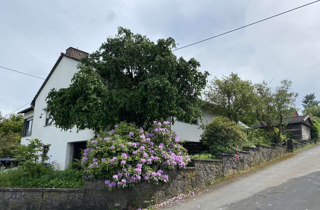 Immobilie in Bleckhausen - Freistehendes Einfamilienhaus in Bleckhausen mit zusätzlichem Bauplatz - Bild 0