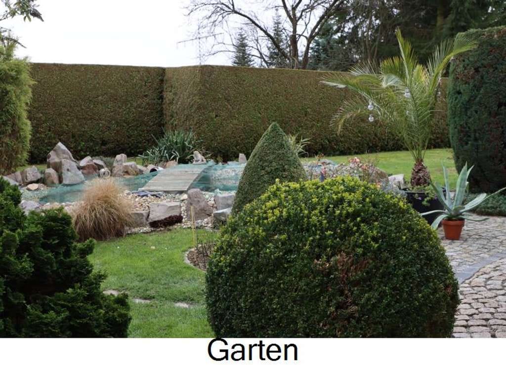 Immobilie in Neuensalz - Traumhaus in grüner Lage -  unweit vom Vogtlandmeer - Bild 4