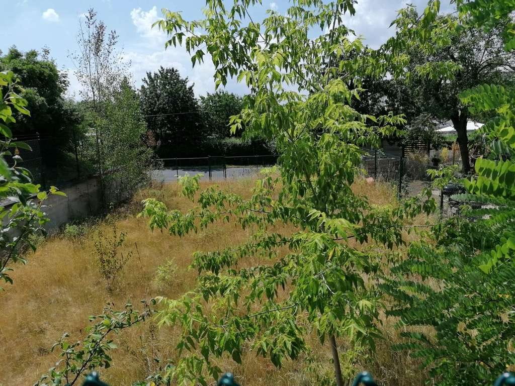 Immobilie in Röderaue - Haus mit Grundstück im Grünen, QNG-zertifiziert mit KfW-Förderung - Bild 1