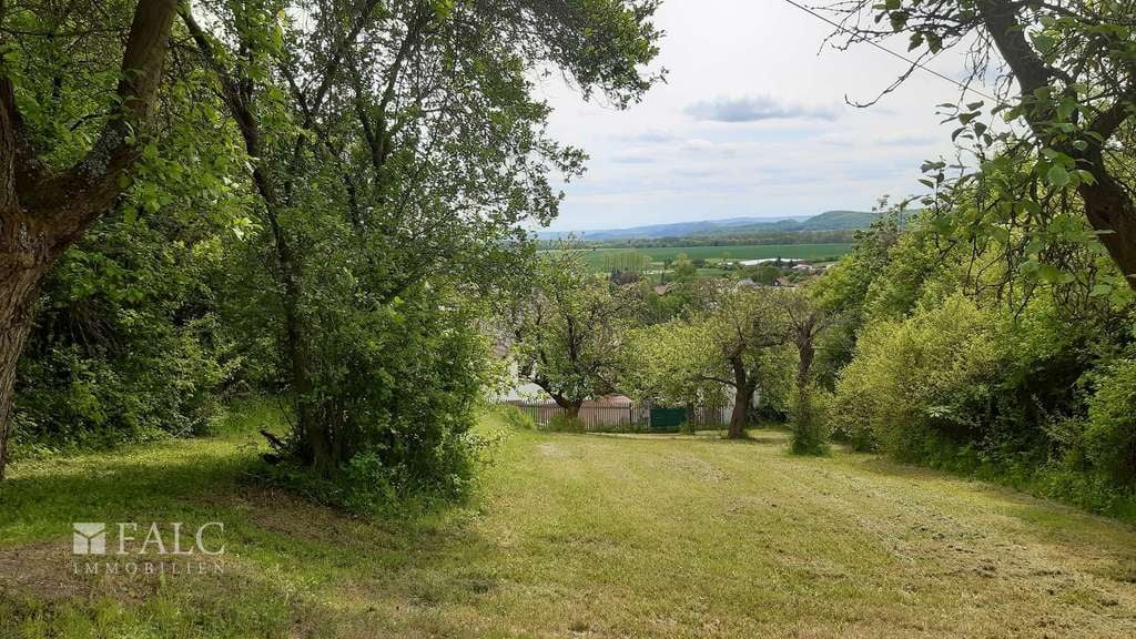 Immobilie in Drei Gleichen - Gasthaus Düppel - Vielseitige Immobilie mit Appartments, Wohnungen und Panoramablick - Bild 4