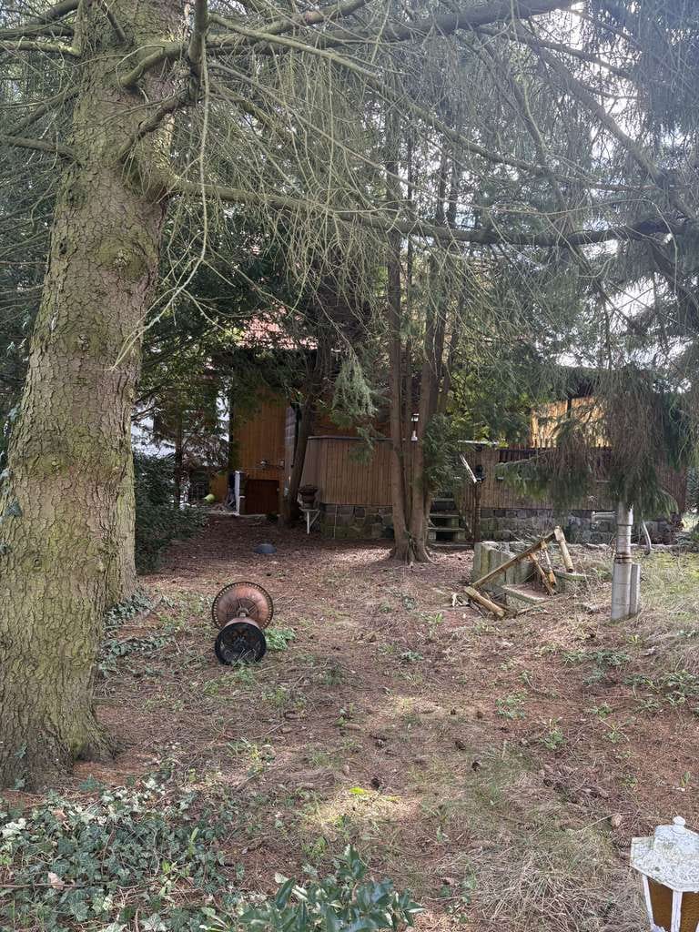 Immobilie in Schulzendorf - 🏚️ Handwerkertraum oder Neubau: EFH auf großem 1.133 m² Grundstück - Bild 4