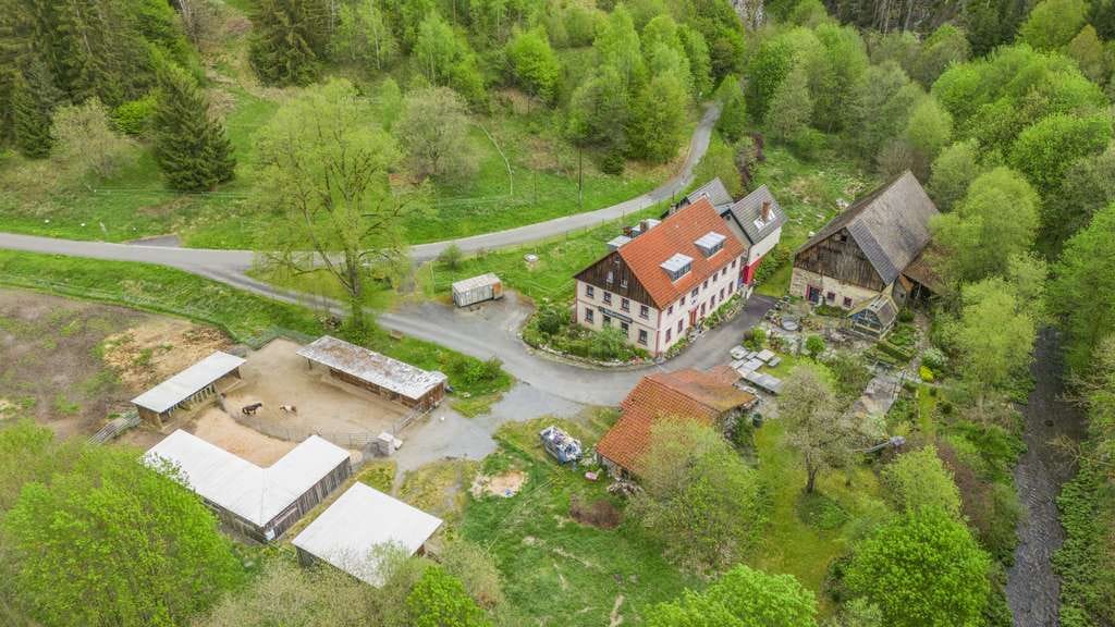 Immobilie in Presseck - Rarität in Alleinlage! Romantisches Anwesen für Individualisten mit 4 Hektar Grundstück - Bild 4