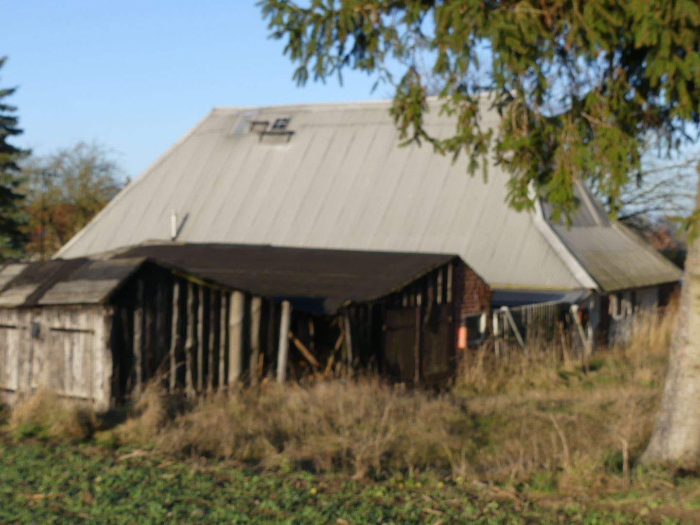 Immobilie in Klein Belitz - Bauernhaus mit großem Grundstück in ruhiger Lage - Bild 2