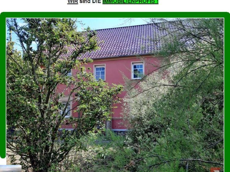 Immobilie in Schönewalde - Haus in Schönewalde (Herzberg (Elster)) - Bild 0