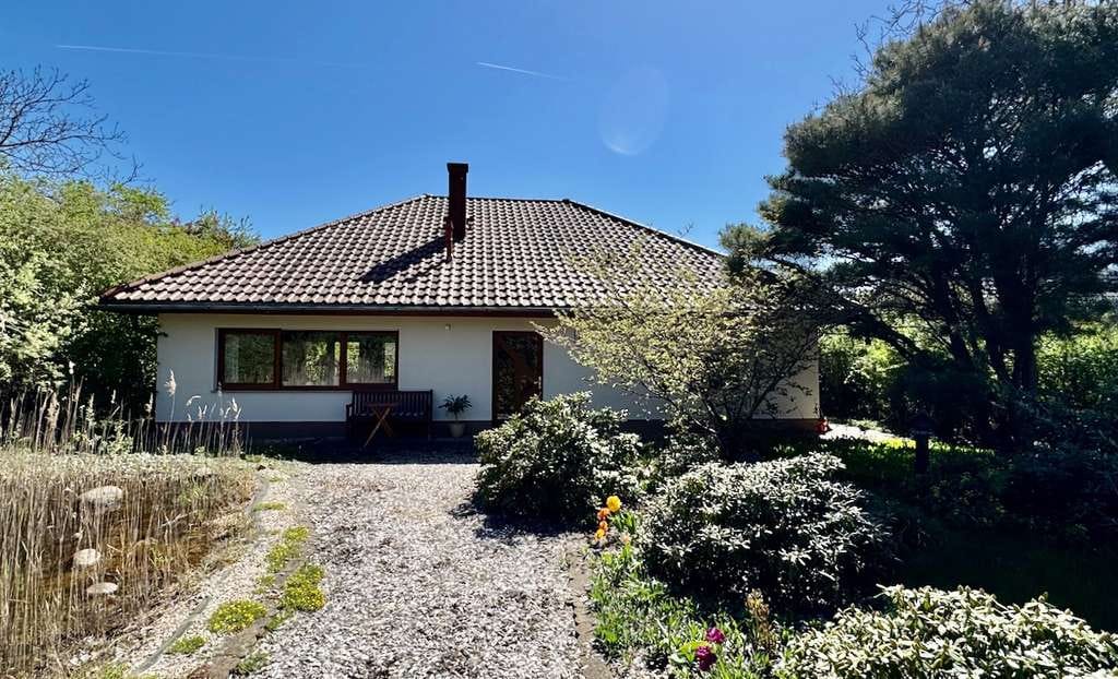 Immobilie in Schwarzheide - Hochwertiges Einfamilienhaus in wunderschöner Lage - Bild 2